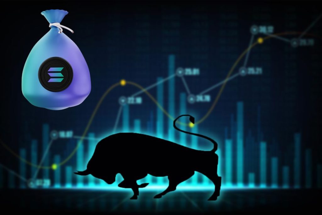 solana bull market