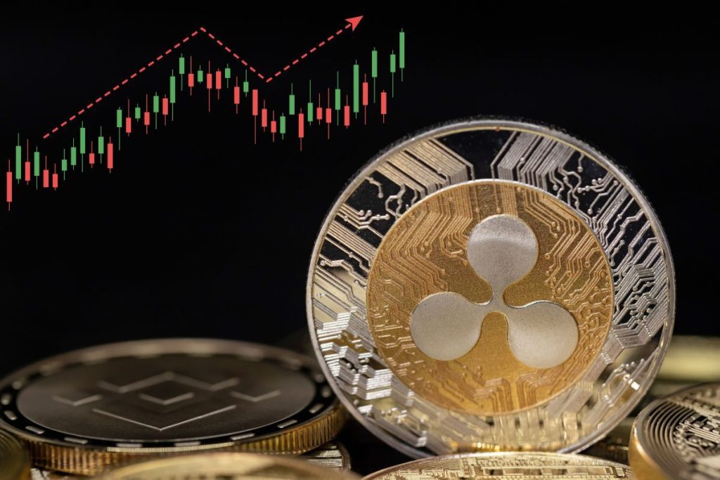 trader XRP XRP token