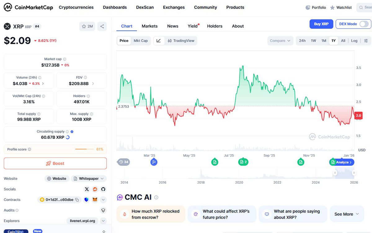 xrp timi (1)