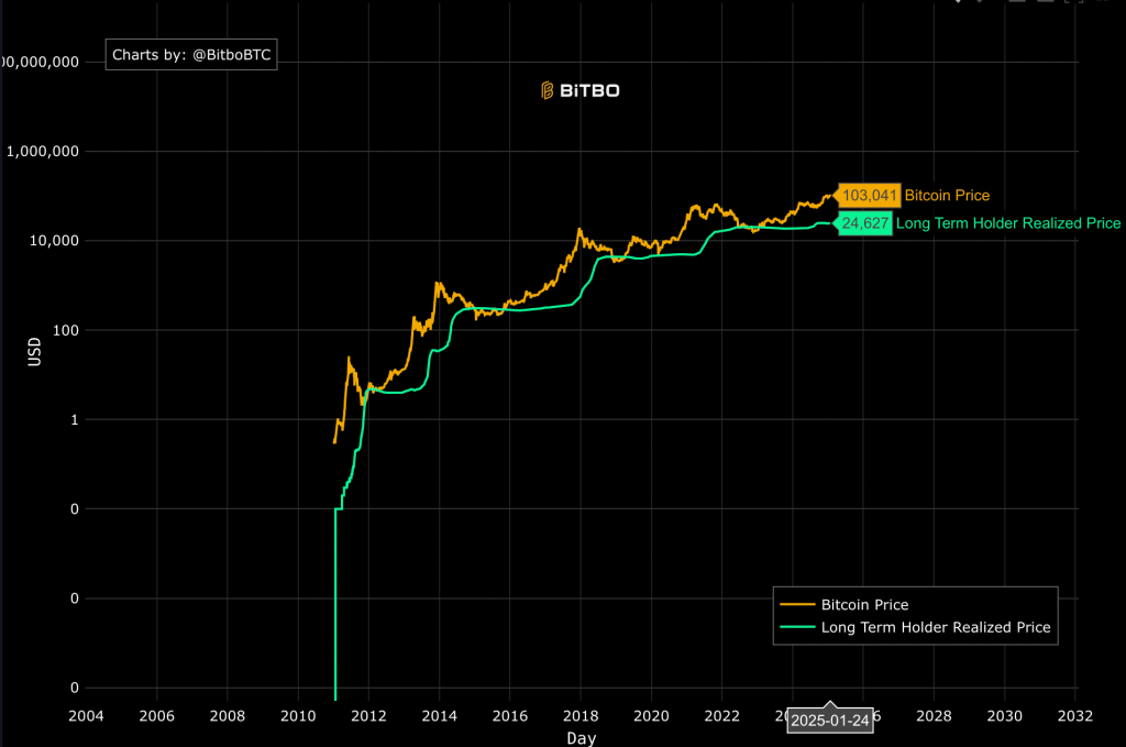 BTC long term holder Bitbo