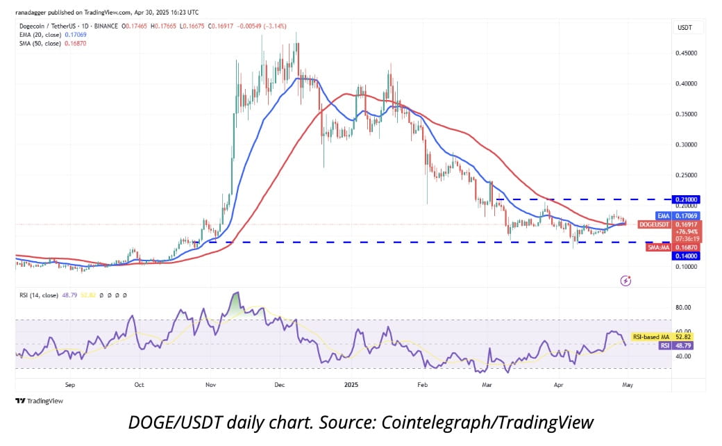 DOGE chart