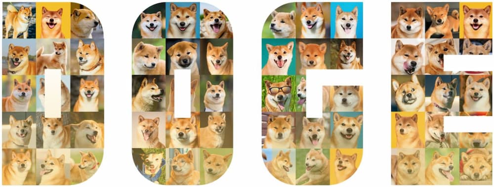 Cara Membeli Dogecoin - prediksi harga dogecoin