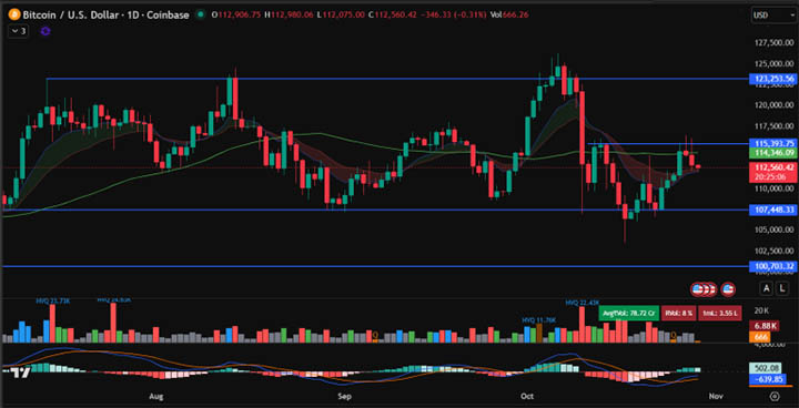 BTC USD - prediksi harga bitcoin