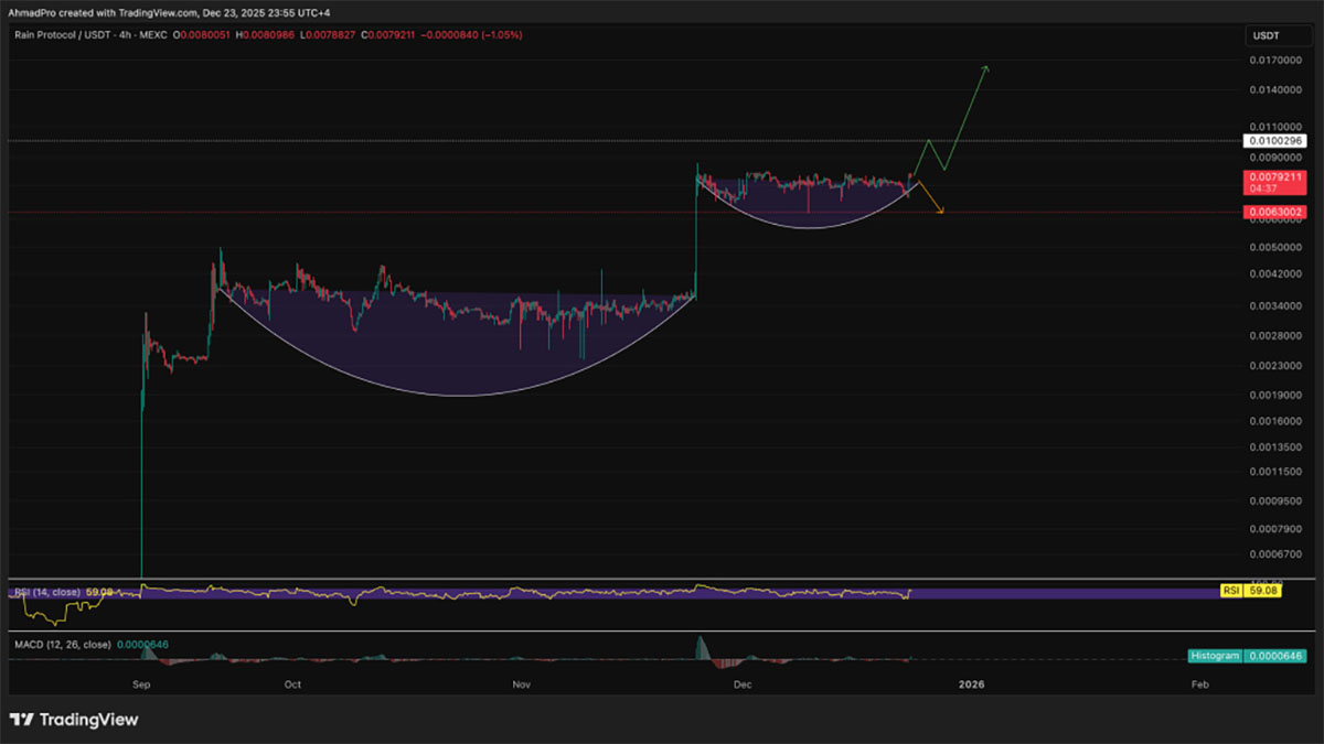 RAIN USD - prediksi harga rain crypto