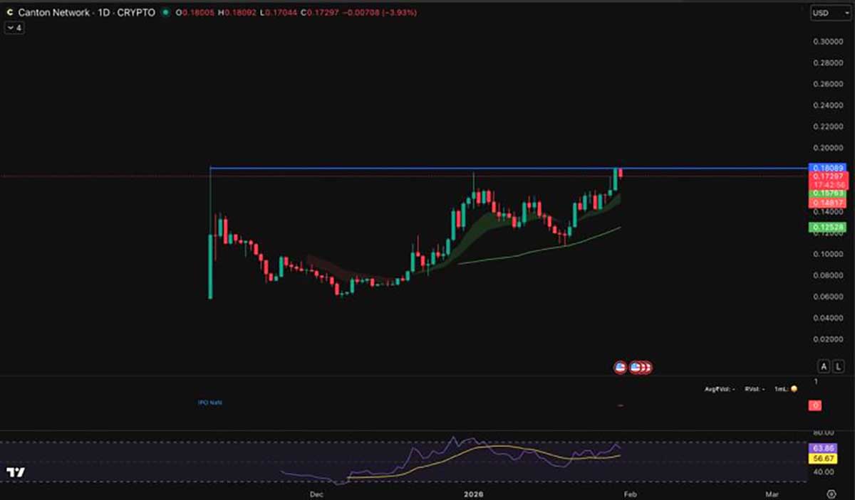 CC USDT - kripto terbaik untuk dibeli