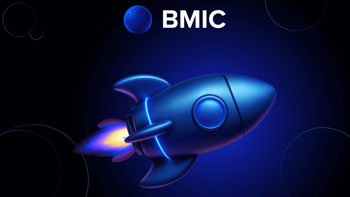 Download BMIC