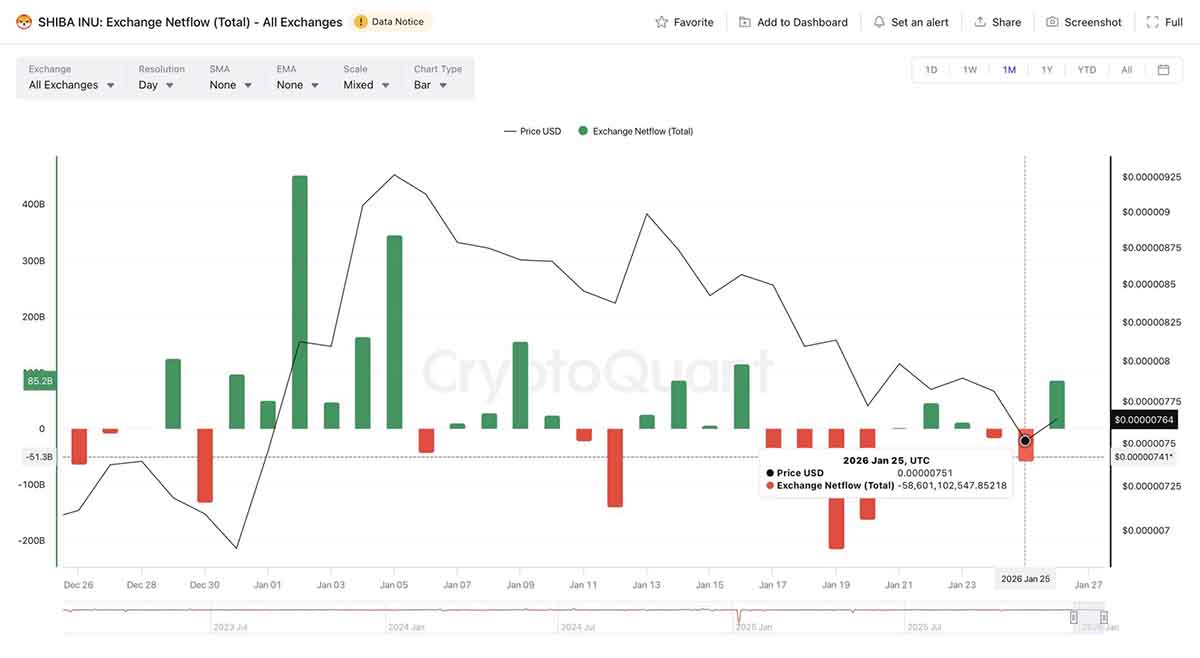 SHIB Netflow - prediksi harga shiba inu