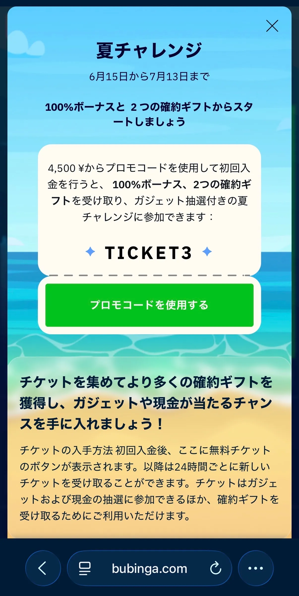 ブビンガバイナリー(Bubinga binary)の夏チャレンジキャンペーンの詳細