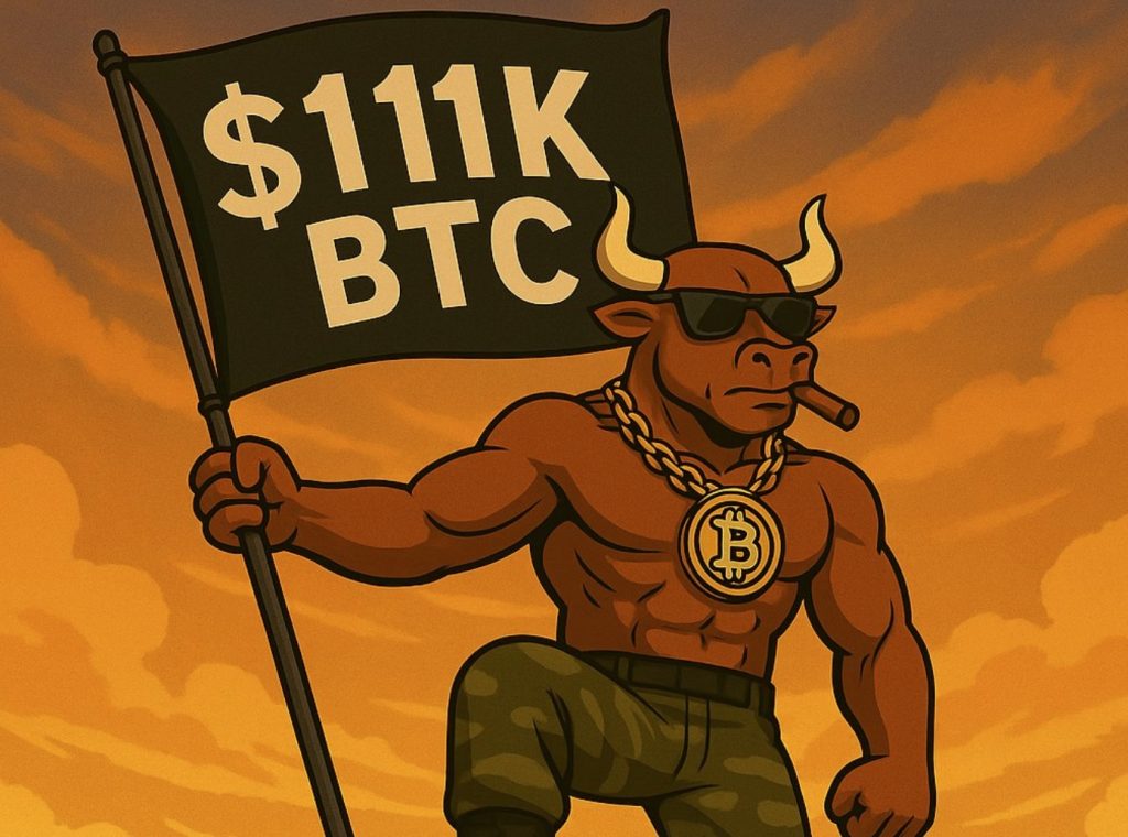 BTC 불 토큰 프리세일