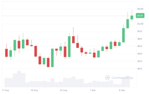 HYPE 코인 30일 차트