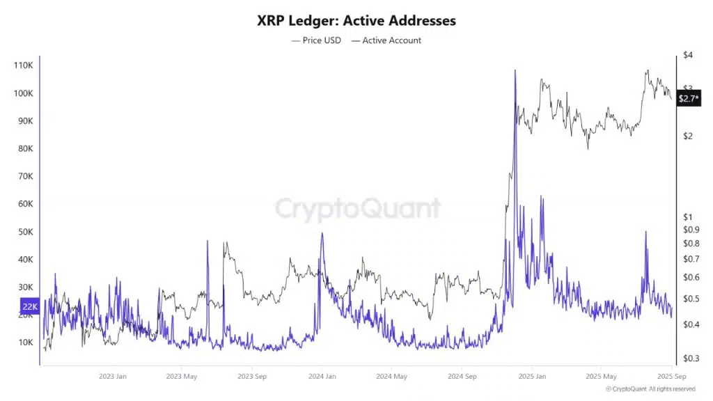 XRP 렛저 활성 주소