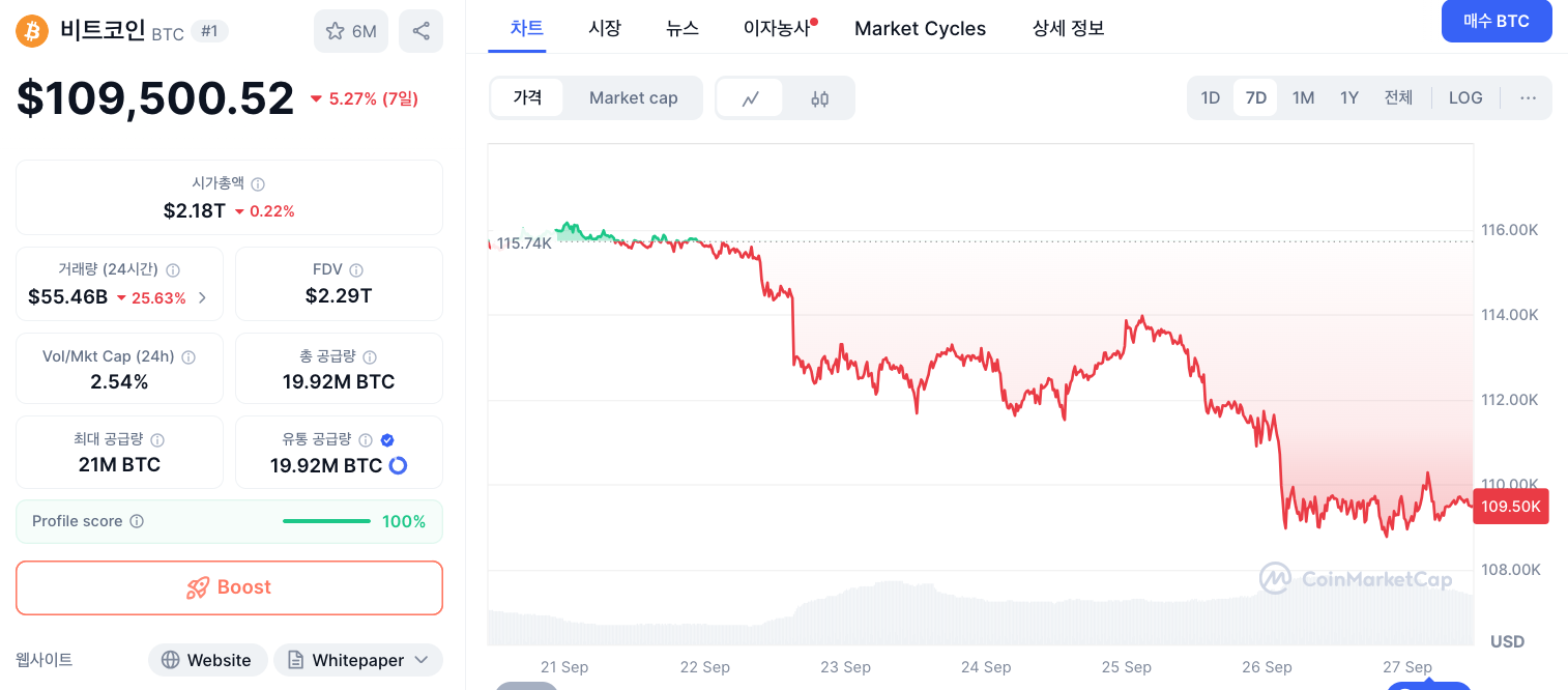 비트코인 11만 달러 아래 횡보
