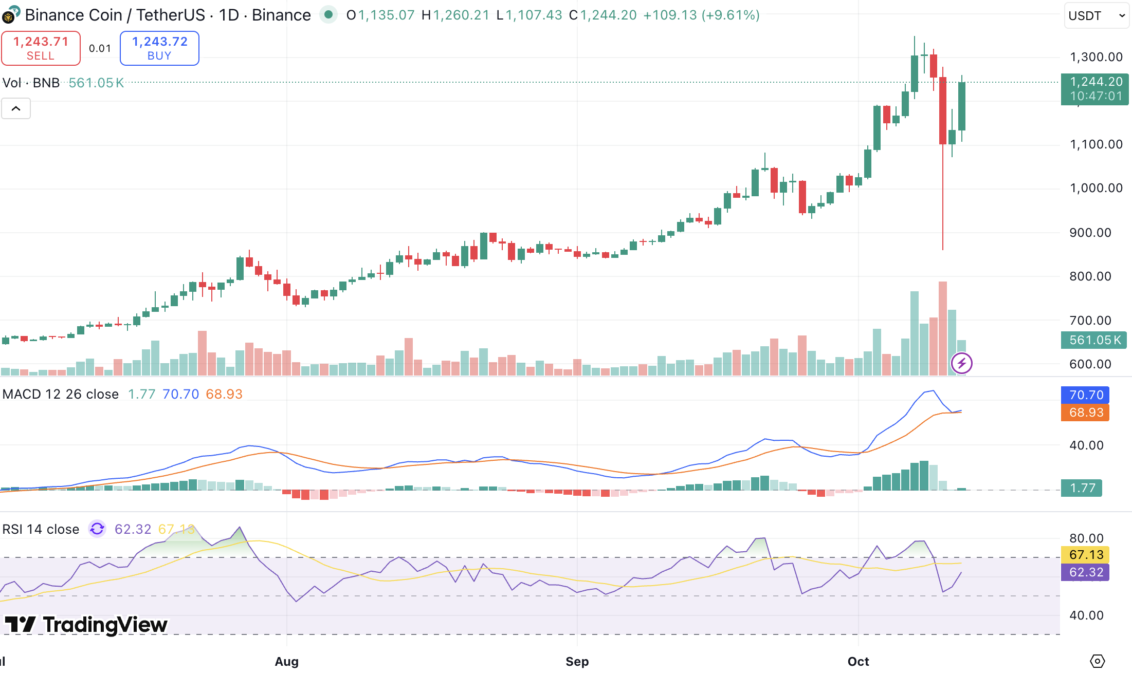 바이낸스 코인(BNB), 폭락 후 8% 반등, 상승 랠리 이어갈까