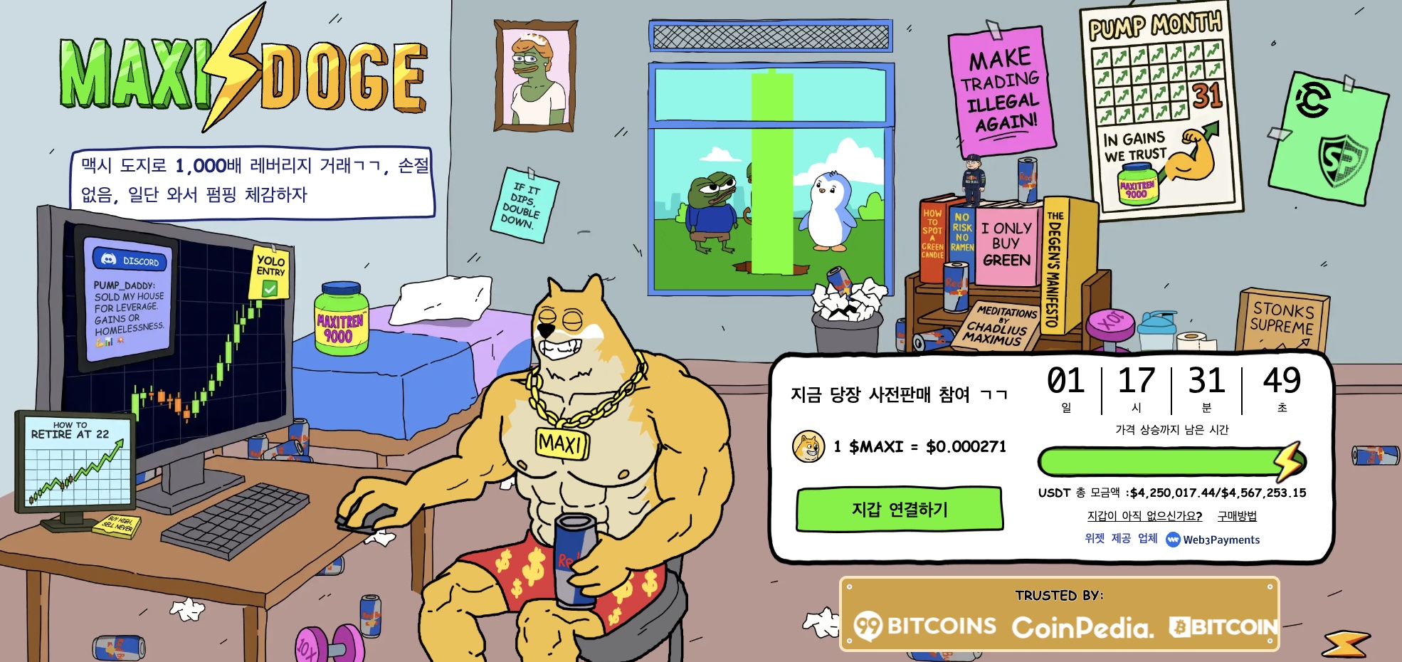 맥시도지 웹사이트