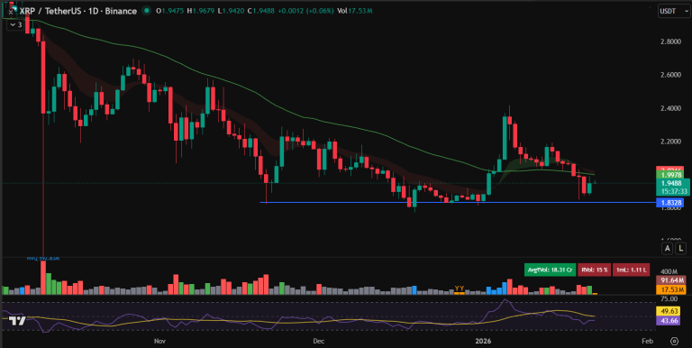 XRP 가격 차트 (트레이딩뷰)