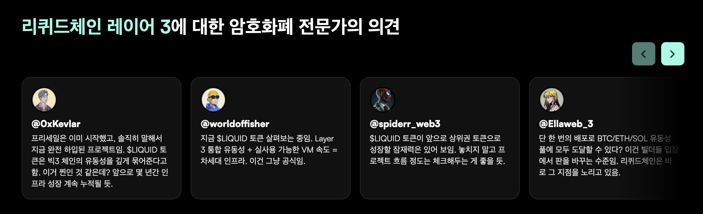 리퀴드체인 전문가 의견