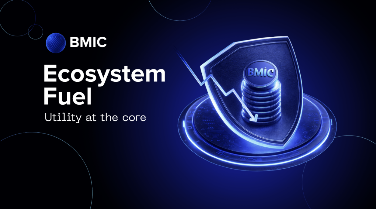 BMIC