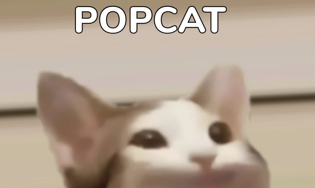 7. Popcat – remiasi populiarumo banga ir socialinėmis tendencijomis