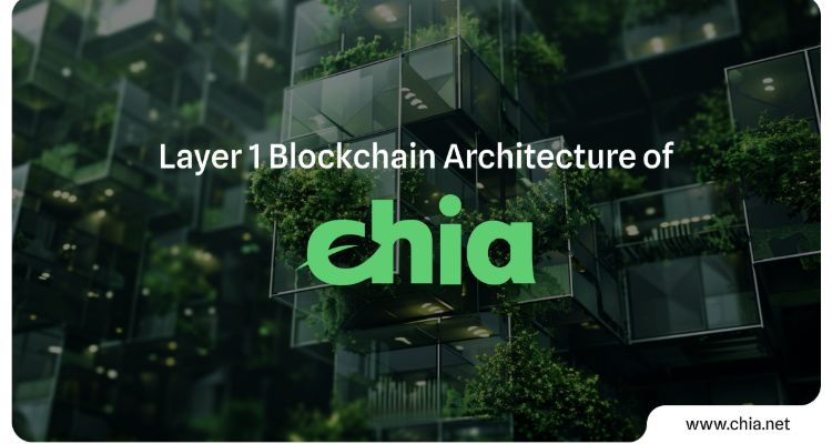 Chia (XCH) rinkos analizė