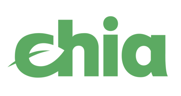 Chia Kripto: Kaip Investuoti Ir Pasinaudoti Naujomis Galimybėmis