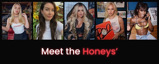 SUBBD Meet the Honeys