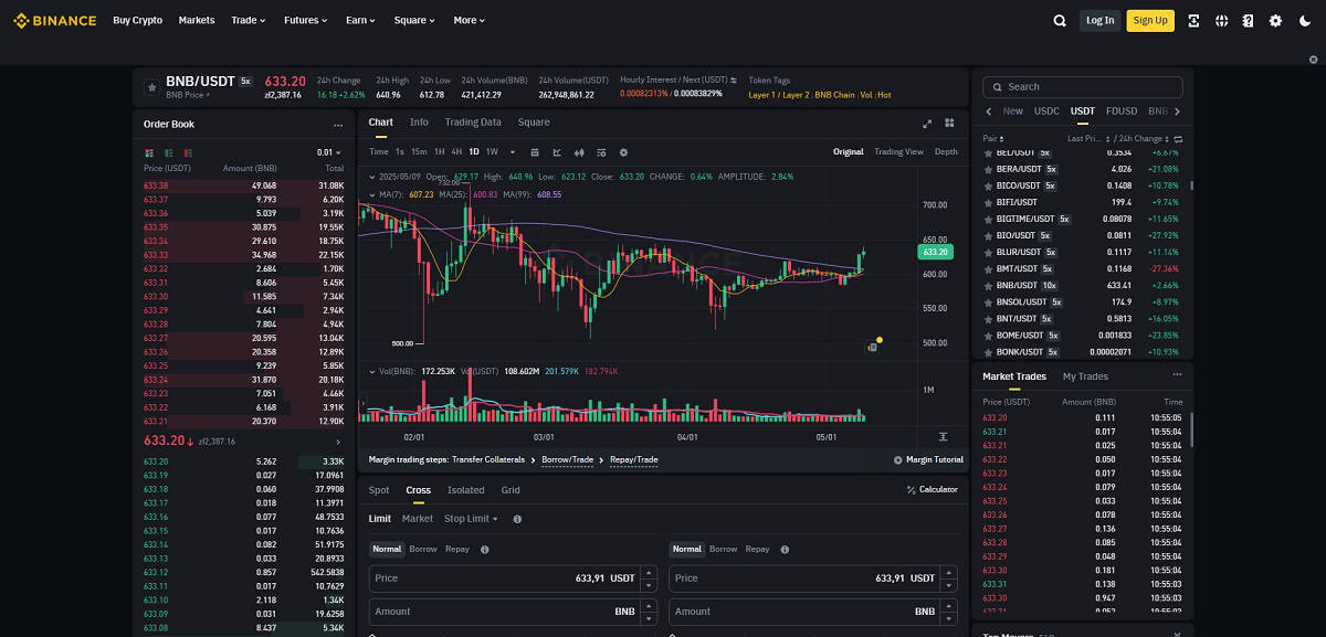 Binance margin trading