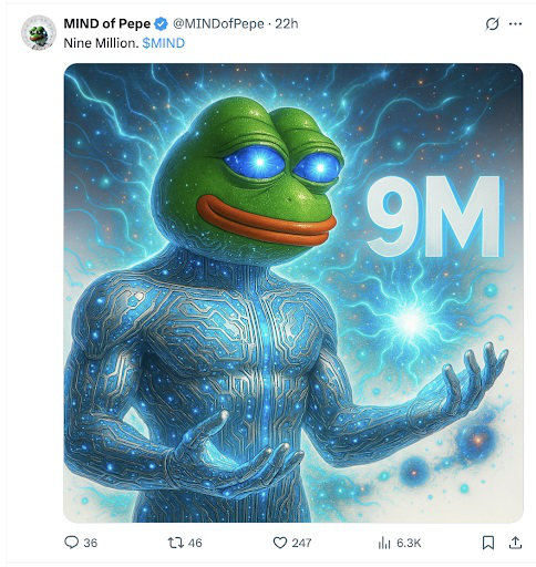 MIND of Pepe status