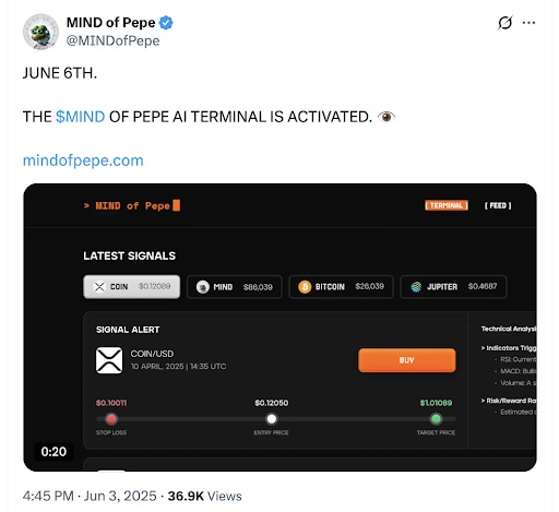 MIND of Pepe status