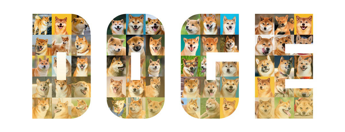 DOGE