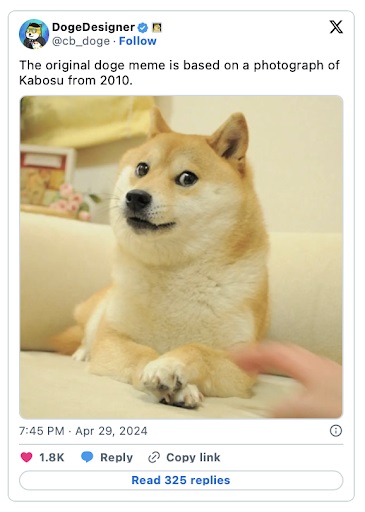 DogeDesigner status