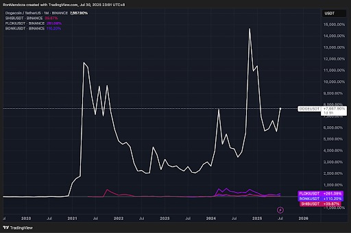 Dogecoin-Tether op Binance