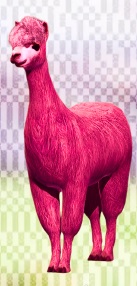 TOKEN6900 lama
