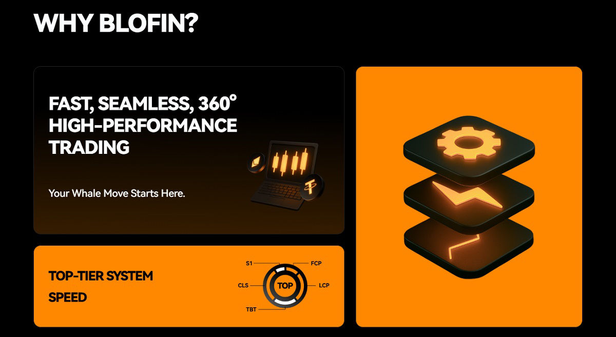 Why Blofin