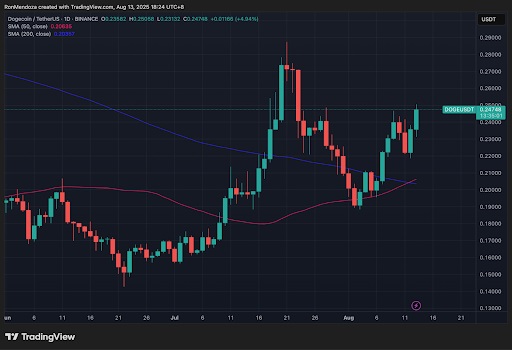 Dogecoin-Tether prijsgrafiek