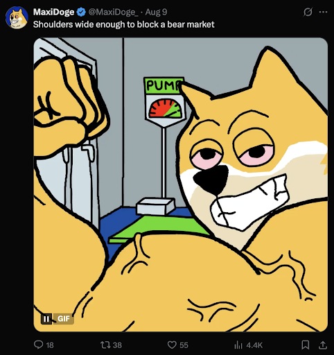 MaxiDoge status