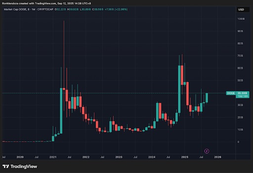 Market Cap DOGE
