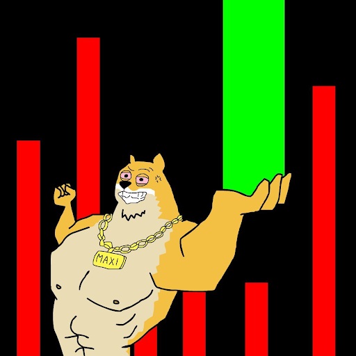 Maxi Doge met grafieken