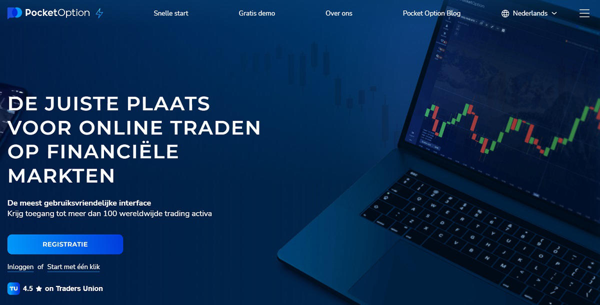 Pocket Option website