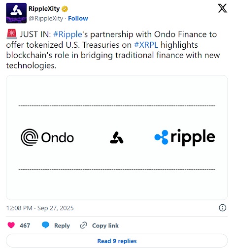 RippleXity status
