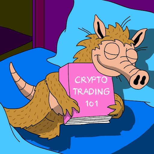 Snorter slaapt met het boek Crypto trading 101