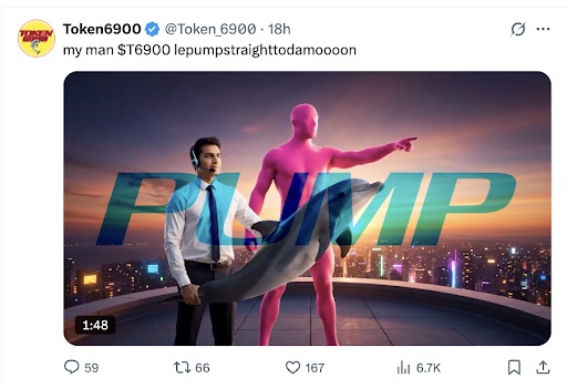Token6900 pump