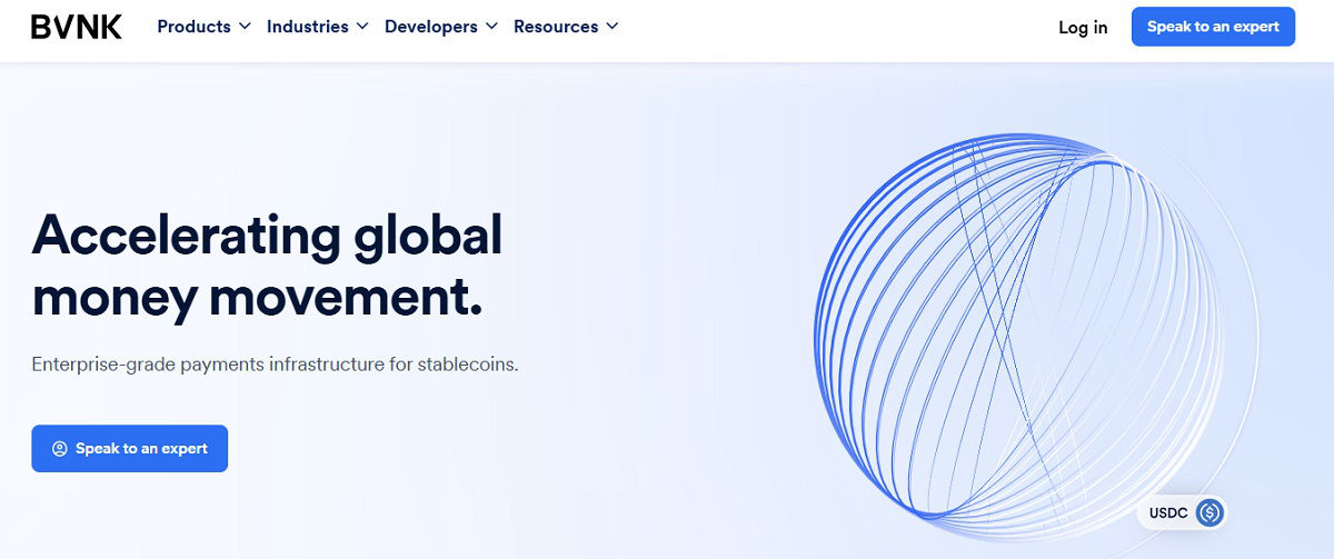BVNK website