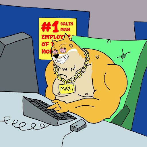 Maxi Doge achter de computer