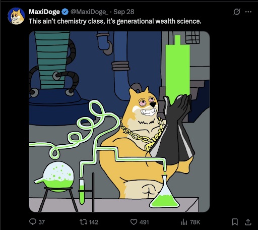 MaxiDoge status