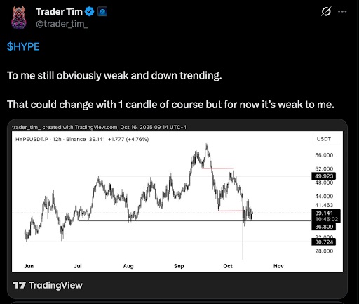 TraderTim status