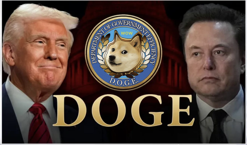 DOGE gov