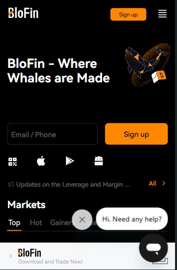Blofin krypto dla początkujących