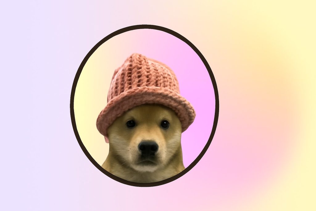 dogwifhat najlepsze ICO Solana dogwifhat najlepsze ICO Solana