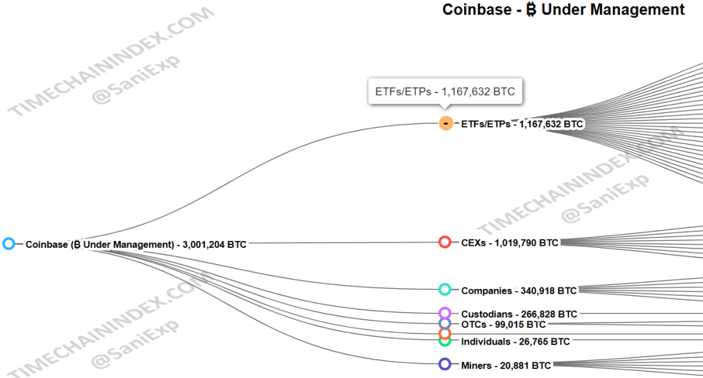 akcje coinbase