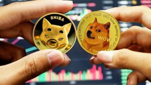 Como encontrar shitcoins promissoras como a Shiba Inu